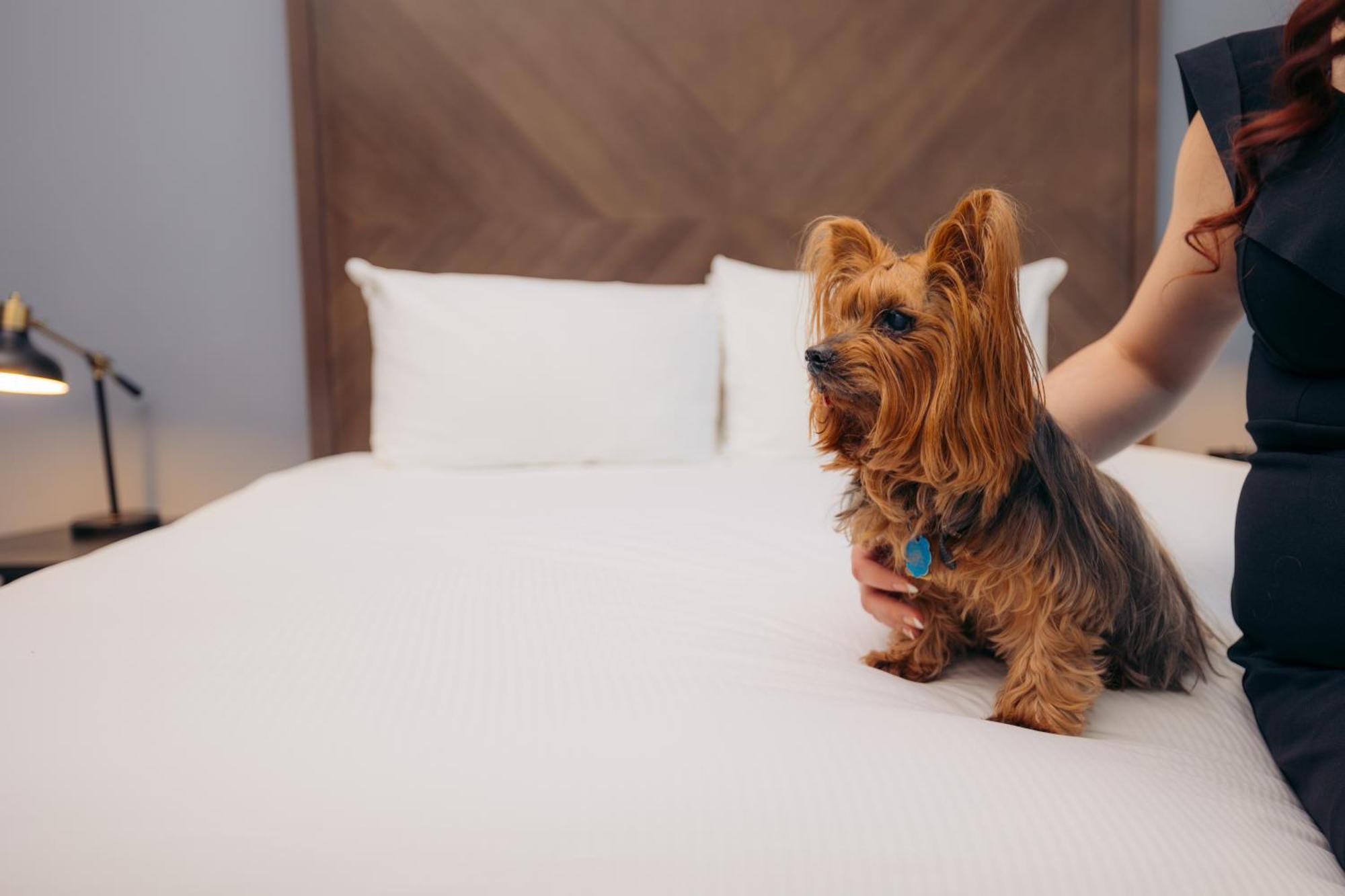 Hotel Winters Екстер'єр фото